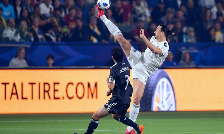 ibrahimovic taekwondo