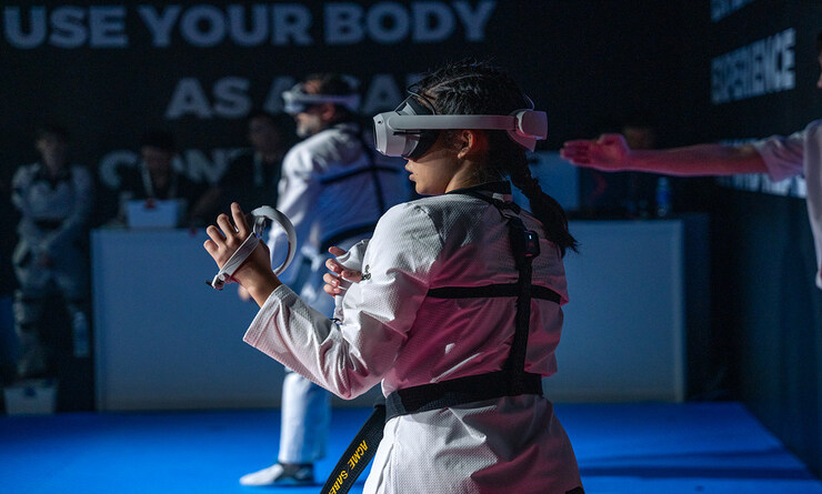 virtual taekwondo